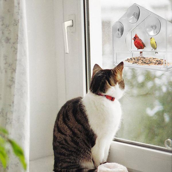 Clear Bird Feeder